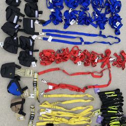 Lot of Various NEW Dog Equipment