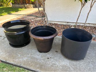 Plant Pots (3)