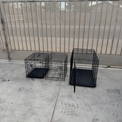 Dog Crates