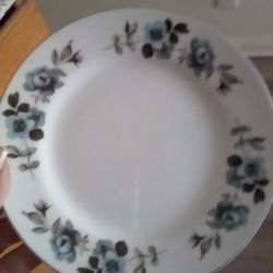 Vintage Taylor Smith & Taylor China Set – Blue Floral