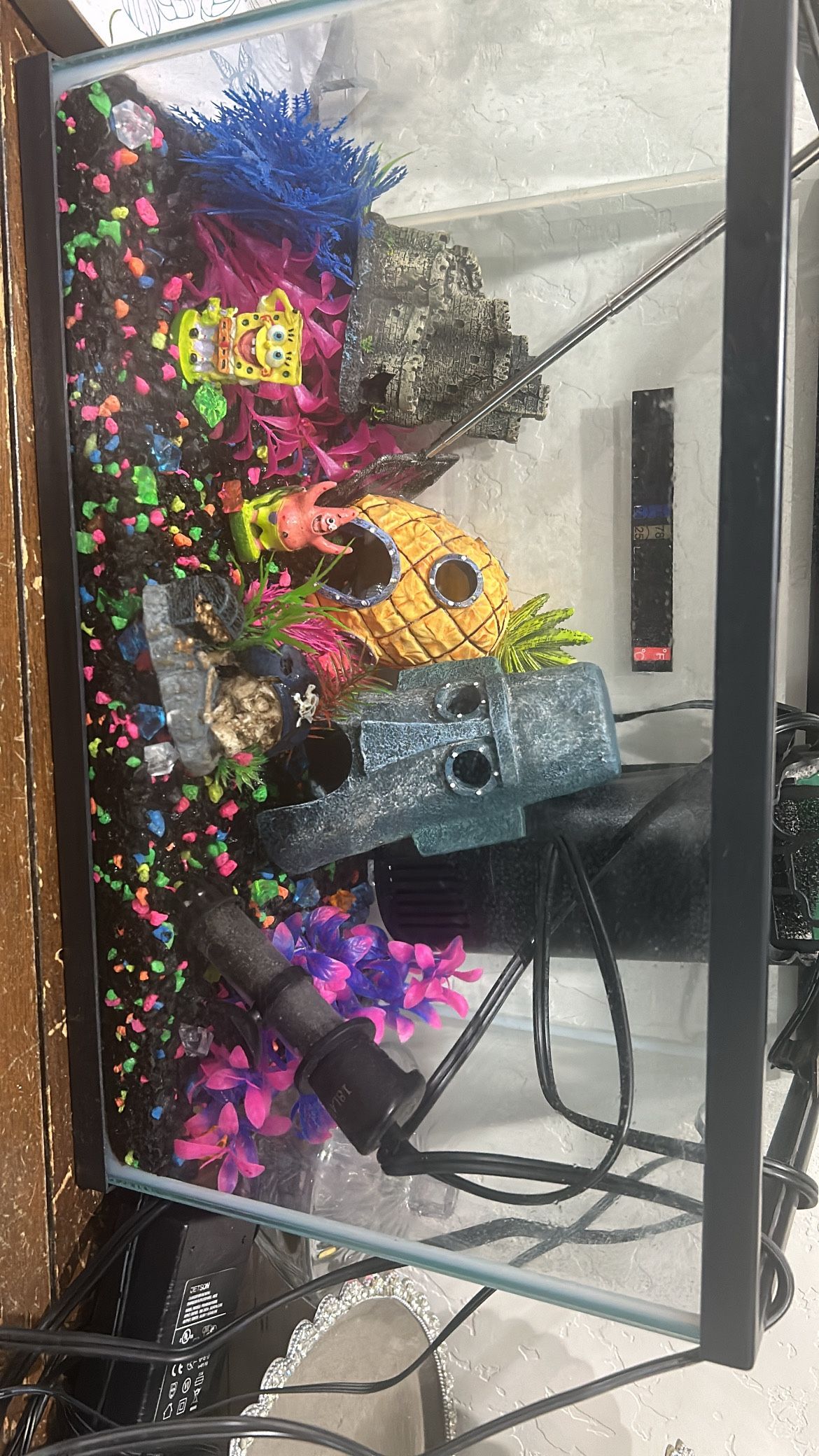 Fish Tank