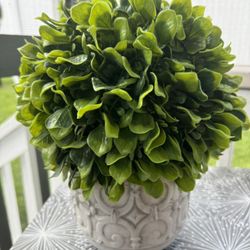 Decorative  Faux  Boxwood 