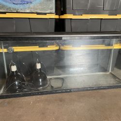 Fish Tank