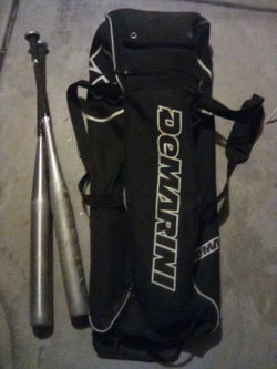 Slow Pitch Softball Bats And Bag