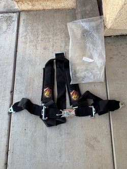 Dragon Fire RZR Seatbelt