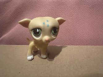 Greyhound Littlest Pet Shop Pet