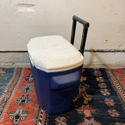 Rolling Mini Cooler