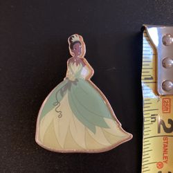 Disney Pin magnet