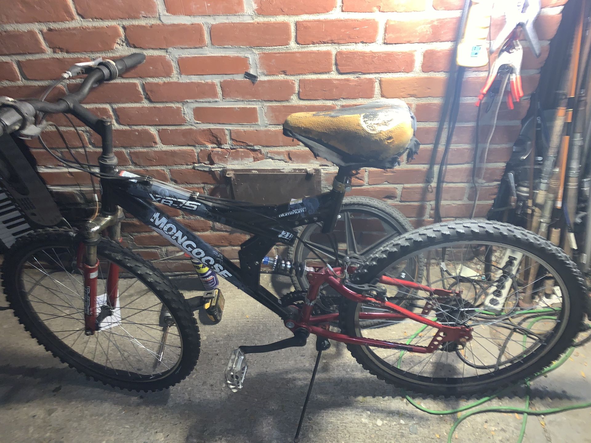 Mongoose mountain bike