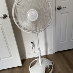 Moving Sale- Vacuum Cleaner + 2 Fans