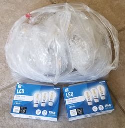 LED Bulbs