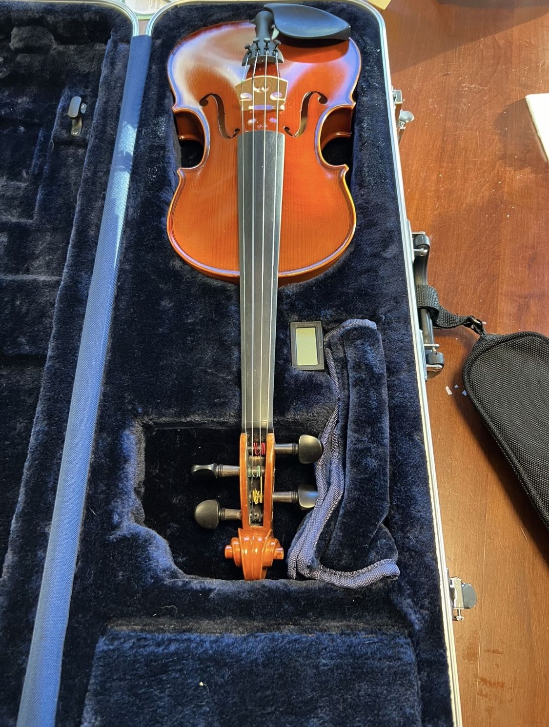 Violin