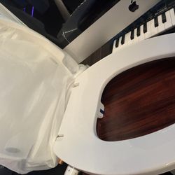 Toilet Seat Bidet