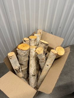 White Birch Log Bundle