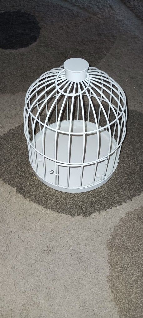 Bird Cage