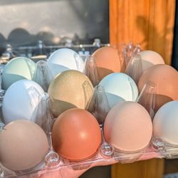 Eggs $6 Dozen/ Huevos $6 La Docena 