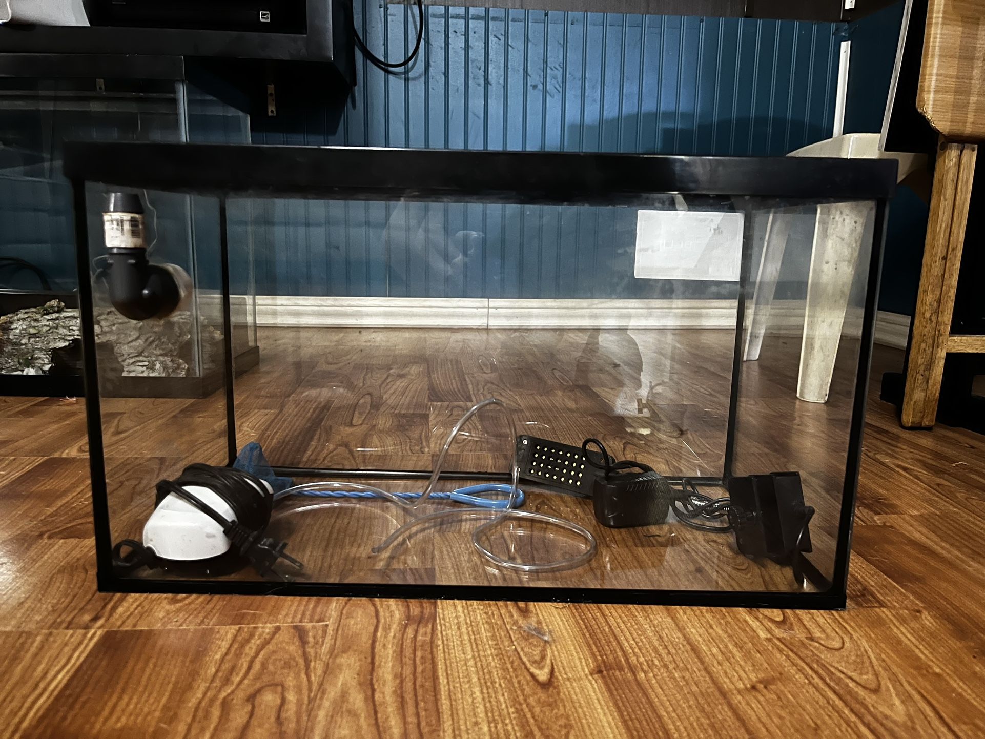 10 Gallon Tank And accessories