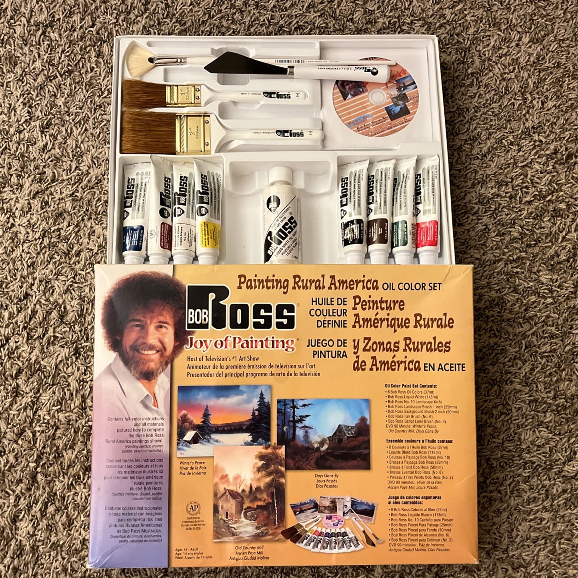Bob Ross Painting Rural America