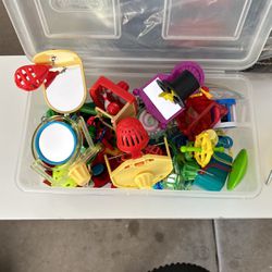 Assortment Of Cockatiel Toys