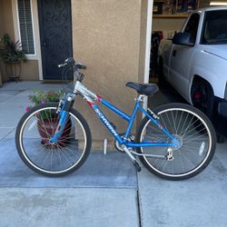 Schwinn bike