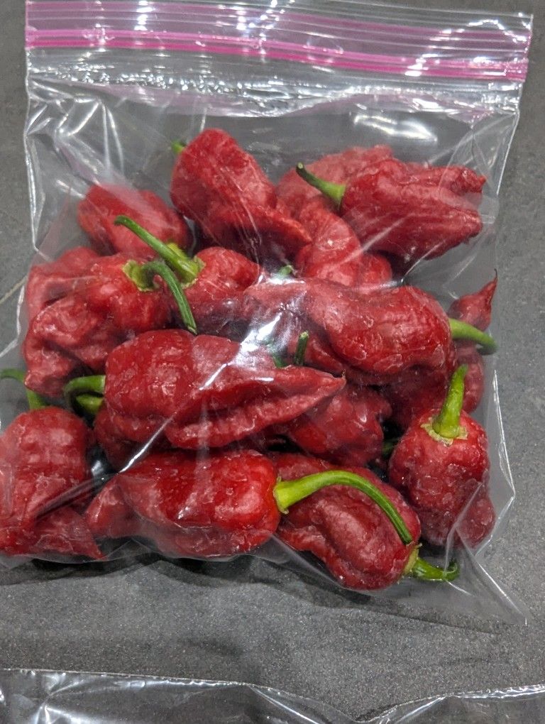 Trinidad Scorpion Chili