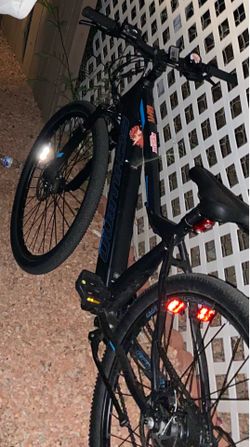 Schwinn e bike