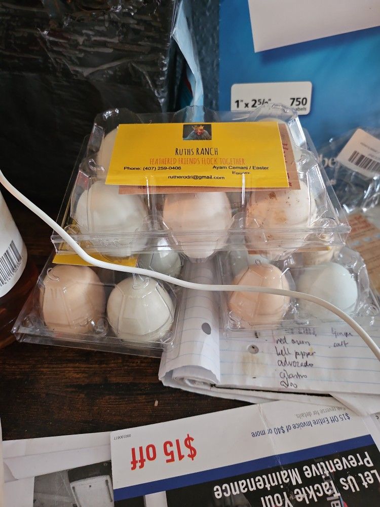 Dozen Eggs