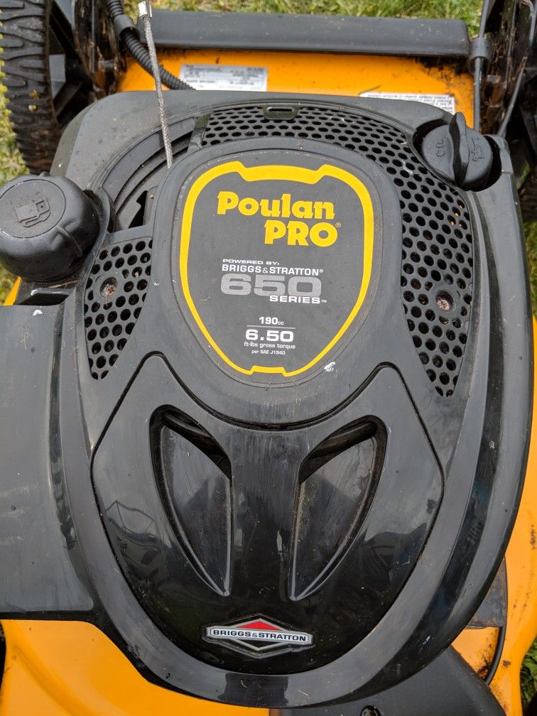 Poulan pro online 650