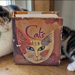 The Secret Life of Cats 2.6"X2.8" Collectible Gift Book Published Andrews McMeel. This item is "The Secret Life of Cats" book, a small, collectible gi