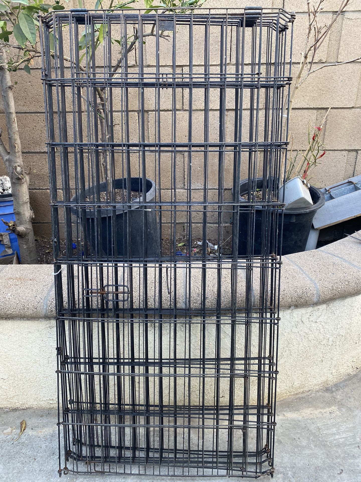 The Large Cage In Perfect Condition. 