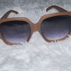 Luxx Sunglasses 