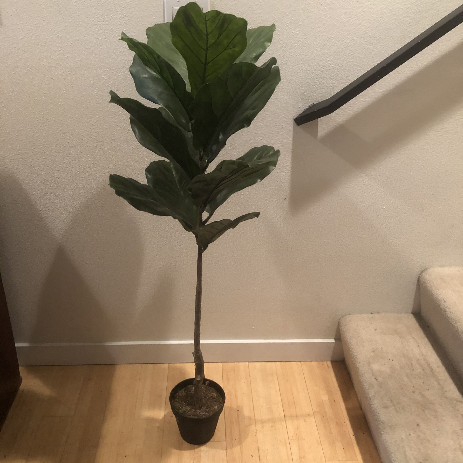 Fake fiddle leaf tree plant