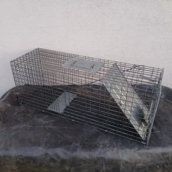 Humane animal trap