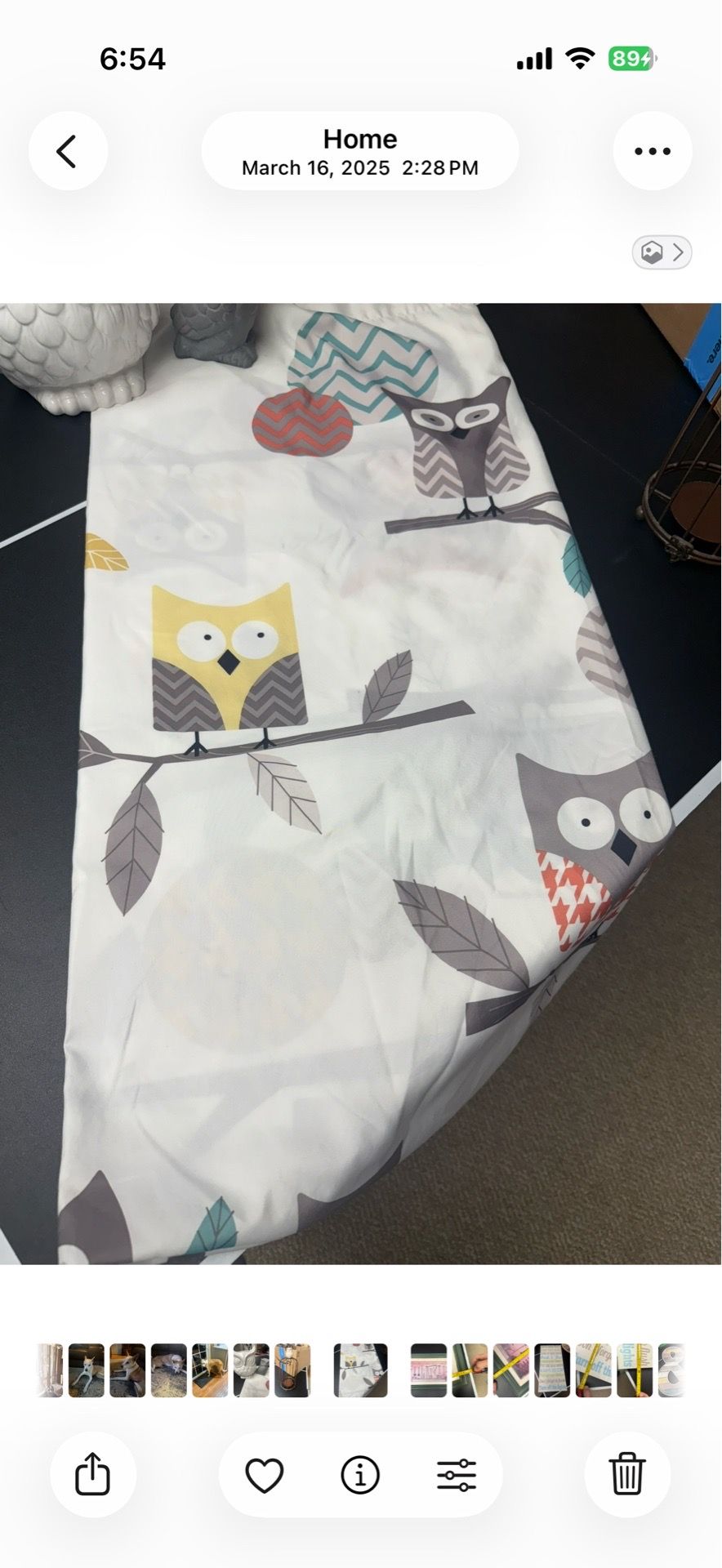 Owl Decor
