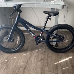 rei co op rev 20