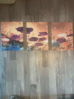 Set of 3 pictures!