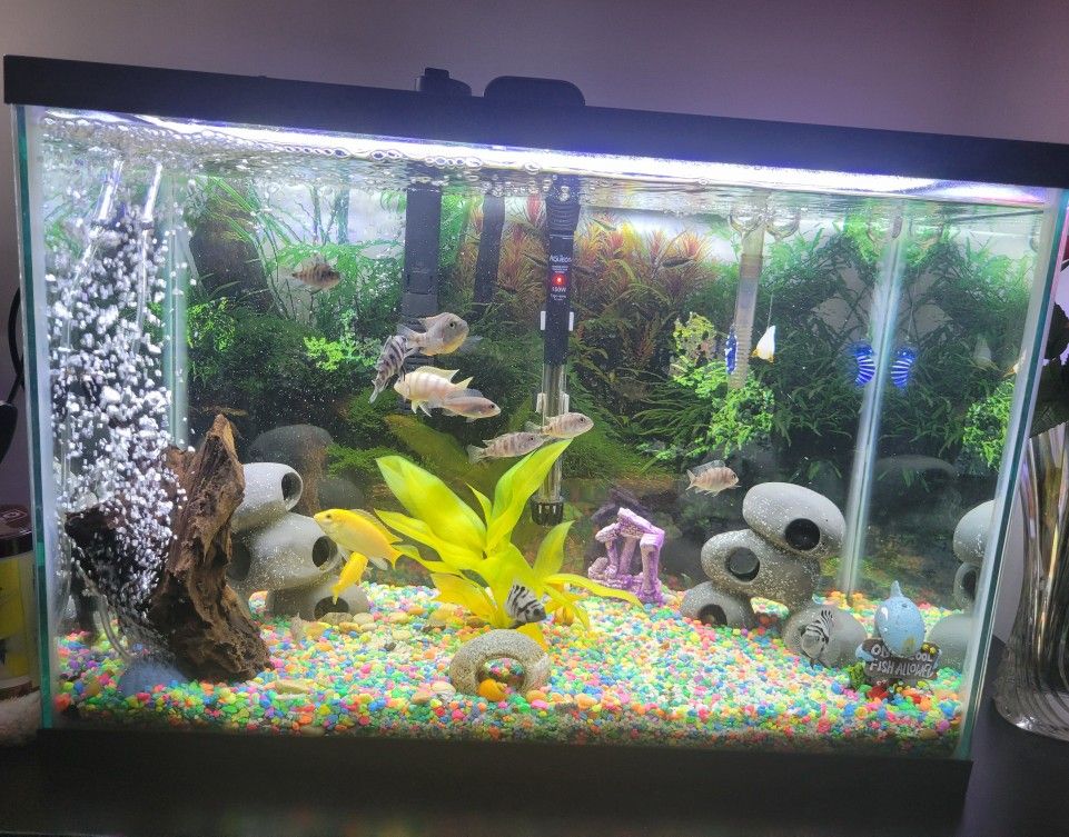 Aquarium