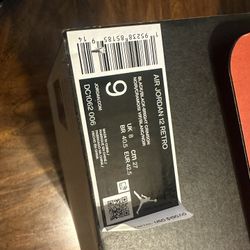 Jordan 12