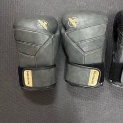 Hayabusa Boxing Gloves 