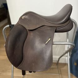 15” Wintec With Gullet Set