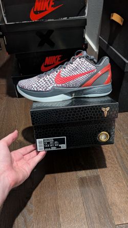 Kobe 6