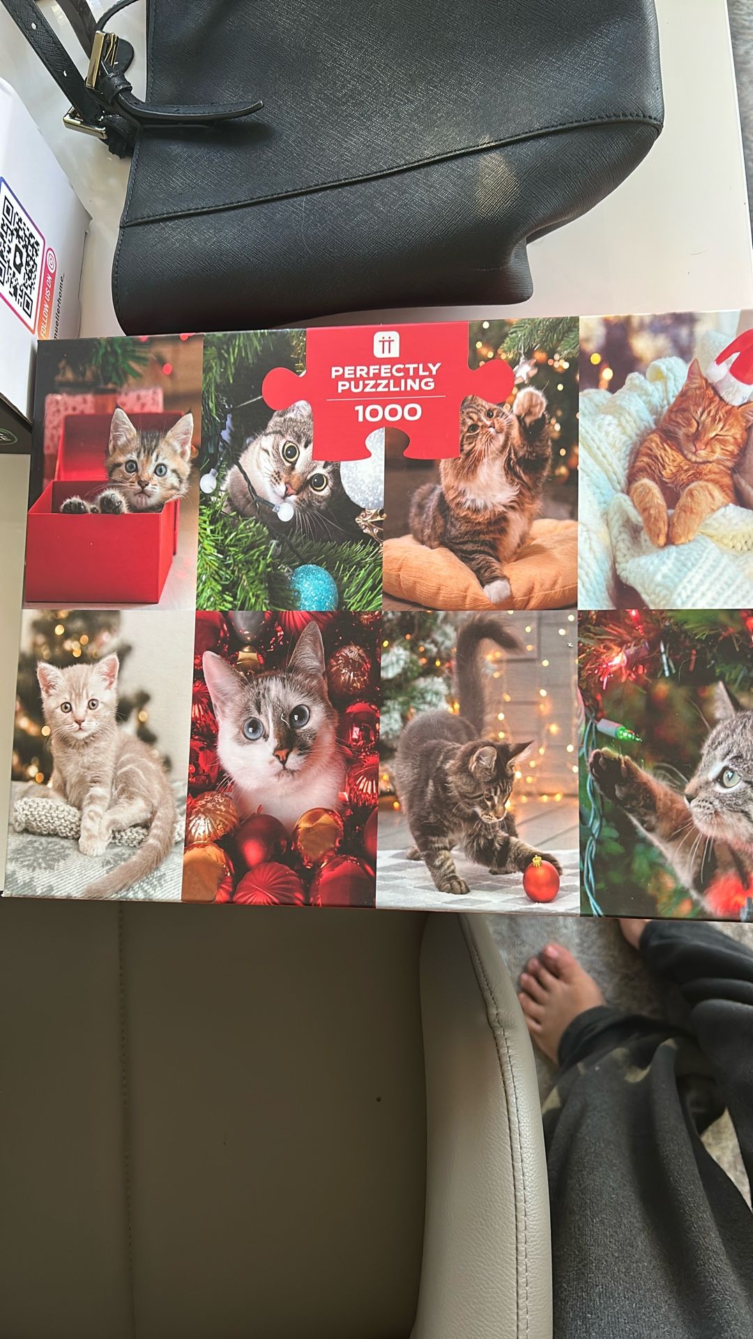 1000 Piece Cat Puzzle