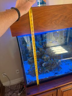 Fish tank