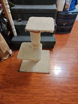 Cat Scratching Post