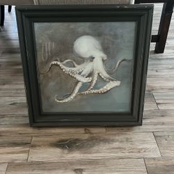 Octopus Framed Print 23x23