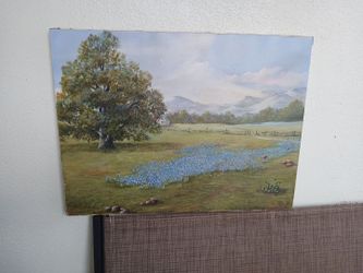 Texas blue hill