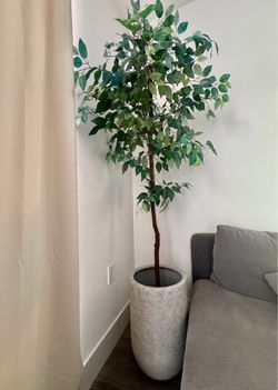 Large Artificial Tree