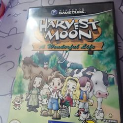 Harvest Moon: A Wonderful Life