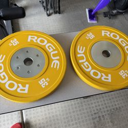 Rogue Fitness Colored Training Plates 2.0 - 35 Pounds