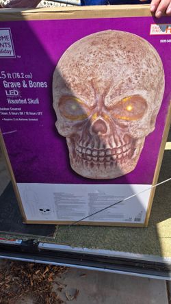 Grave & Bones LED Haunted Skull Halloween Decoration from Home Depot